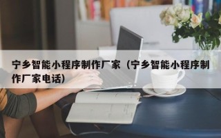 芜湖宁乡智能小程序制作厂家（宁乡智能小程序制作厂家电话）