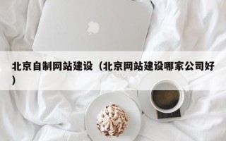 芜湖北京自制网站建设（北京网站建设哪家公司好）